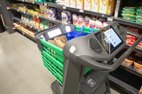 Self-checkout cart